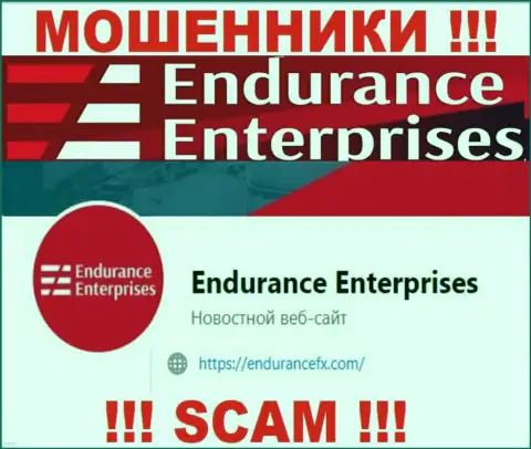 Установить контакт с мошенниками из конторы Endurance FX Вы сможете, если отправите сообщение на их e-mail