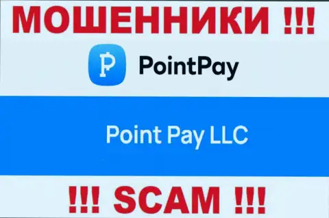 Компания ПоинтПей Ио находится под крылом компании Point Pay LLC