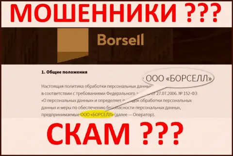ООО БОРСЕЛЛ - это контора, которая управляет интернет-мошенниками Borsell Ru