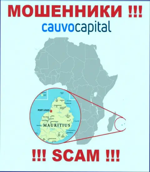 Компания CauvoCapital сливает деньги наивных людей, расположившись в офшоре - Mauritius