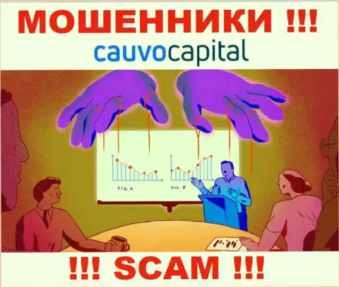Очень опасно соглашаться иметь дело с интернет-разводилами CauvoCapital Com, крадут денежные средства