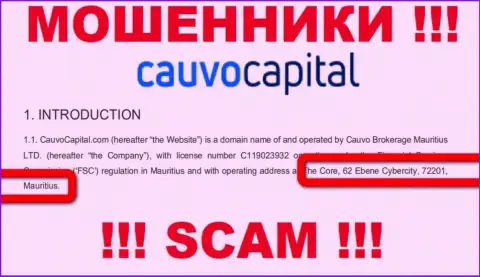 Нереально забрать обратно вложенные денежные средства у компании CauvoCapital Com - они отсиживаются в офшорной зоне по адресу: The Core, 62 Ebene Cybercity, 72201, Mauritius
