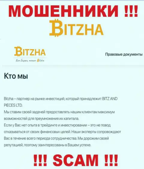 Bitzha 24 - это ушлые интернет махинаторы, тип деятельности которых - Investing