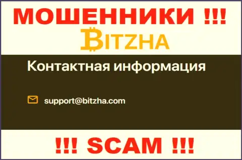Е-мейл обманщиков Bitzha, информация с официального веб-сервиса