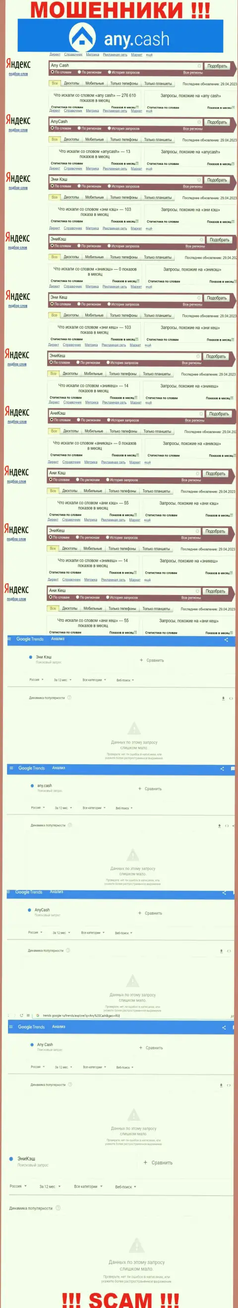 Скрин результата поисковых запросов по противозаконно действующей организации AnyCash