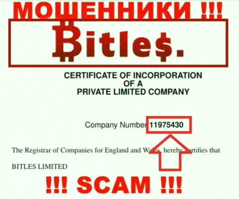 Регистрационный номер махинаторов Битлес, с которыми очень рискованно совместно работать - 11975430