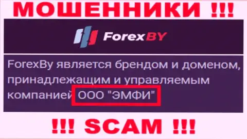 На официальном веб-сервисе Forex BY говорится, что данной конторой владеет ООО ЭМФИ