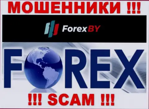 Будьте крайне бдительны, вид деятельности ForexBY Com, FOREX - это кидалово !!!