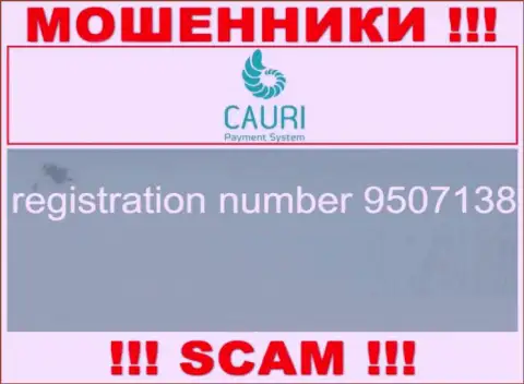 Регистрационный номер, принадлежащий незаконно действующей компании Каури: 9507138