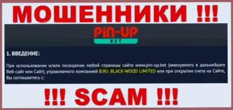 Юридическое лицо компании Pin-Up Bet - B.W.I. BLACK-WOOD LIMITED, инфа взята с официального веб-портала