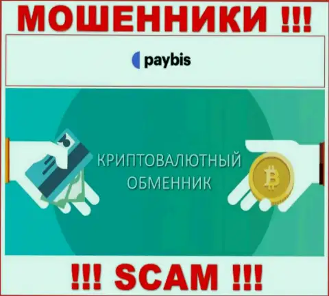 Крипто обменник - сфера деятельности противозаконно действующей организации PayBis