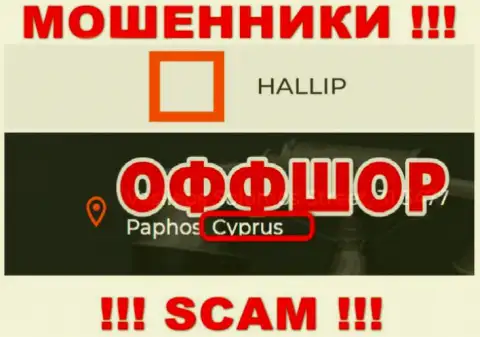 Лохотрон Hallip зарегистрирован на территории - Кипр