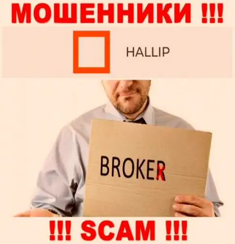 Направление деятельности мошенников Hallip - это Broker, но знайте это кидалово !