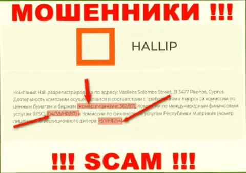Не связывайтесь с мошенниками Hallip - наличием лицензии, на интернет-сервисе, завлекают лохов