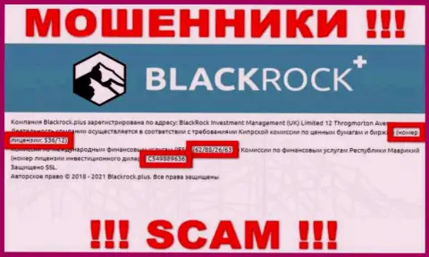 BlackRock Plus скрывают свою жульническую суть, размещая на своем сайте лицензию