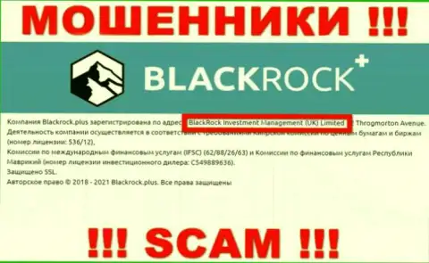 Владельцами БлэкРок Плюс является компания - BlackRock Investment Management (UK) Ltd