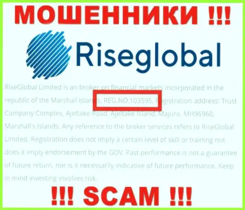 Рег. номер Rise Global, который мошенники показали на своей веб странице: 103595