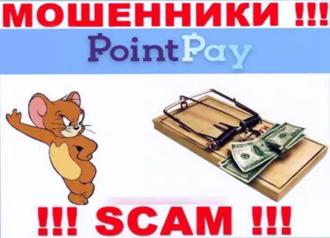 Point Pay LLC - это ШУЛЕРА, не стоит верить им, если вдруг будут предлагать разогнать депозит