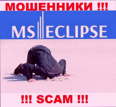 С MS Eclipse слишком опасно работать, т.к. у компании нет лицензии и регулятора
