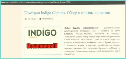 Обзор деятельности Indigo Capitals, реальные факты обворовывания