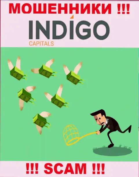 Заработок в сотрудничестве с дилером Indigo Capitals не видать, как своих ушей - это самые обычные internet-махинаторы