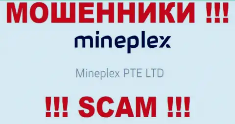 Руководителями MinePlex Io является контора - Mineplex PTE LTD