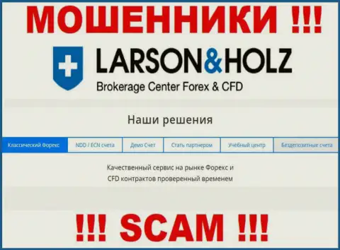 Larson Holz Ltd - это РАЗВОДИЛЫ, орудуют в сфере - Forex
