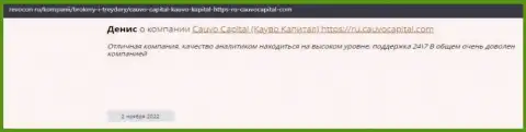 Брокерская компания Cauvo Capital представлена в отзыве на сайте revocon ru