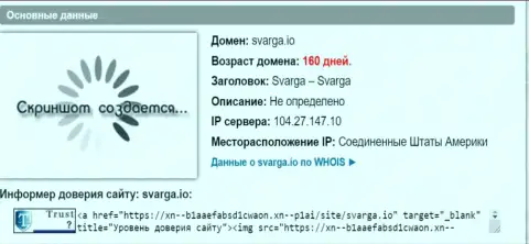 Возраст доменного имени форекс дилинговой конторы Сварга, исходя из инфы, полученной на интернет-портале doverievseti rf