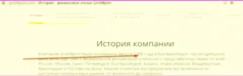 Начало работы GrottBjorn, исходя из справочной информации с официального портала, 1995 год